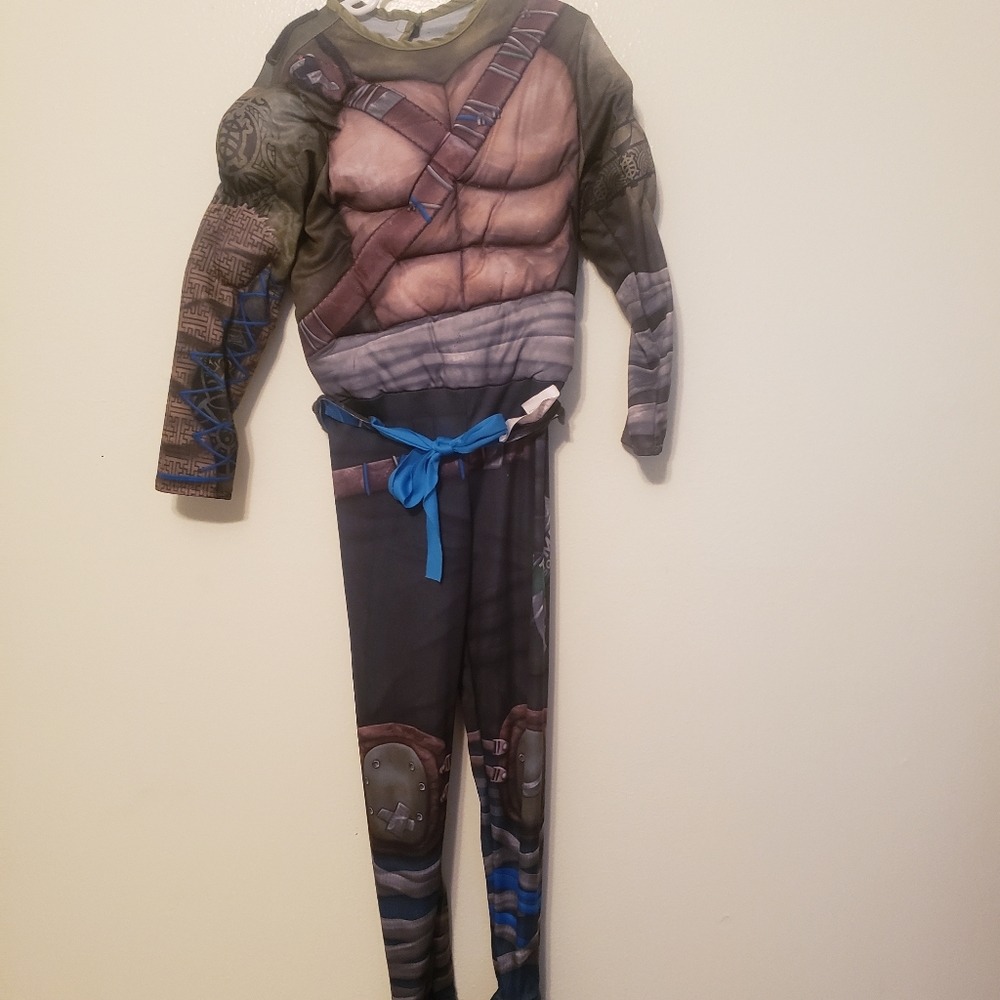 Nija turtle costume.